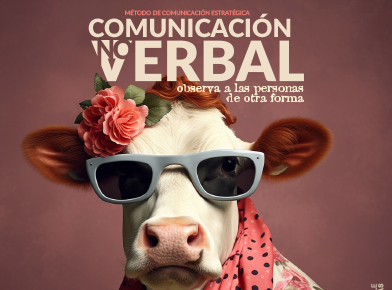 COMUNICACIÓN NO VERBAL